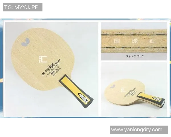 乒乓球新手必看：从零基础到比赛高手的全方位入门指南