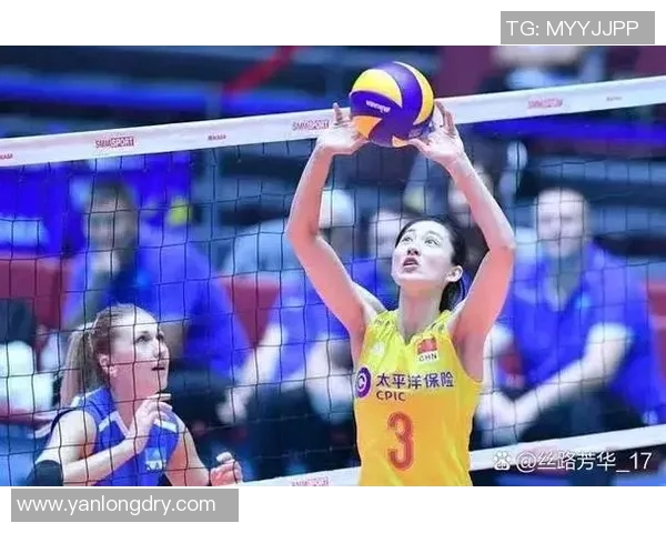 杭州排球队整体压制战术解析与赛事表现的深度剖析