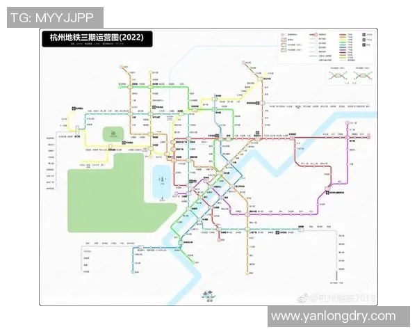 杭州排球队运营分析：成功经验与不足之处的深度剖析