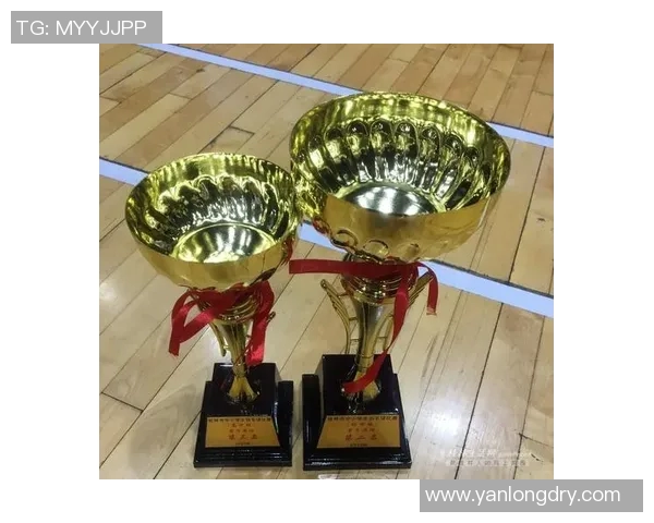 深圳羽毛球队与上海羽毛球队赛后状态分析与复盘探讨