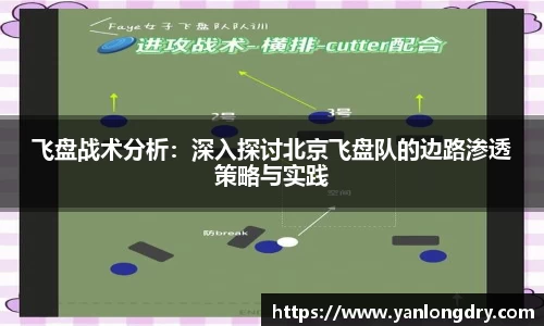 飞盘战术分析：深入探讨北京飞盘队的边路渗透策略与实践
